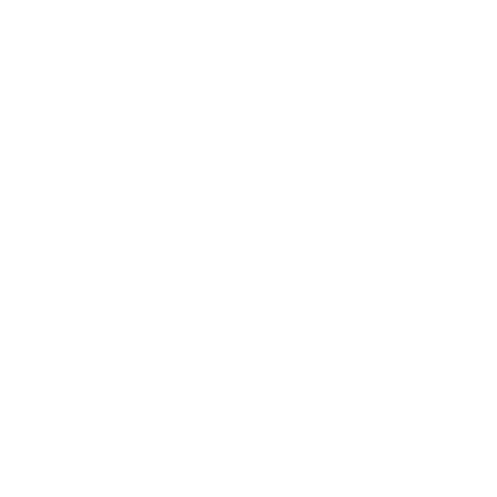light logo